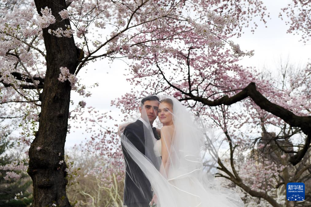 46գһH~s빫@ęѻĔz鼆Aӛ  z