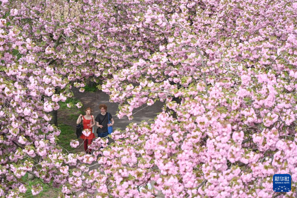 49ڵ˂ʢ_ęѻ¡Aӛ iw z