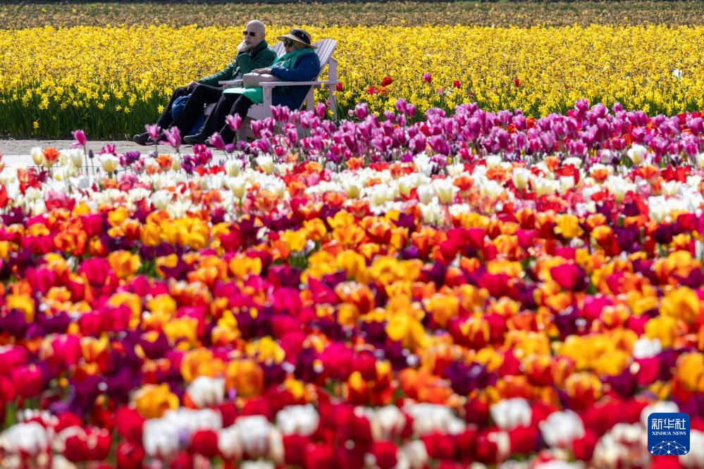 414ںmɪ(k)ϻ򹫈@(ni)[Aӛ ϶ z