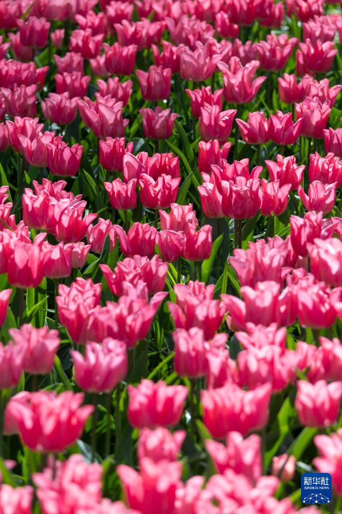 @414ںmɪϻ򹫈@ĔzAӛ ϶ z