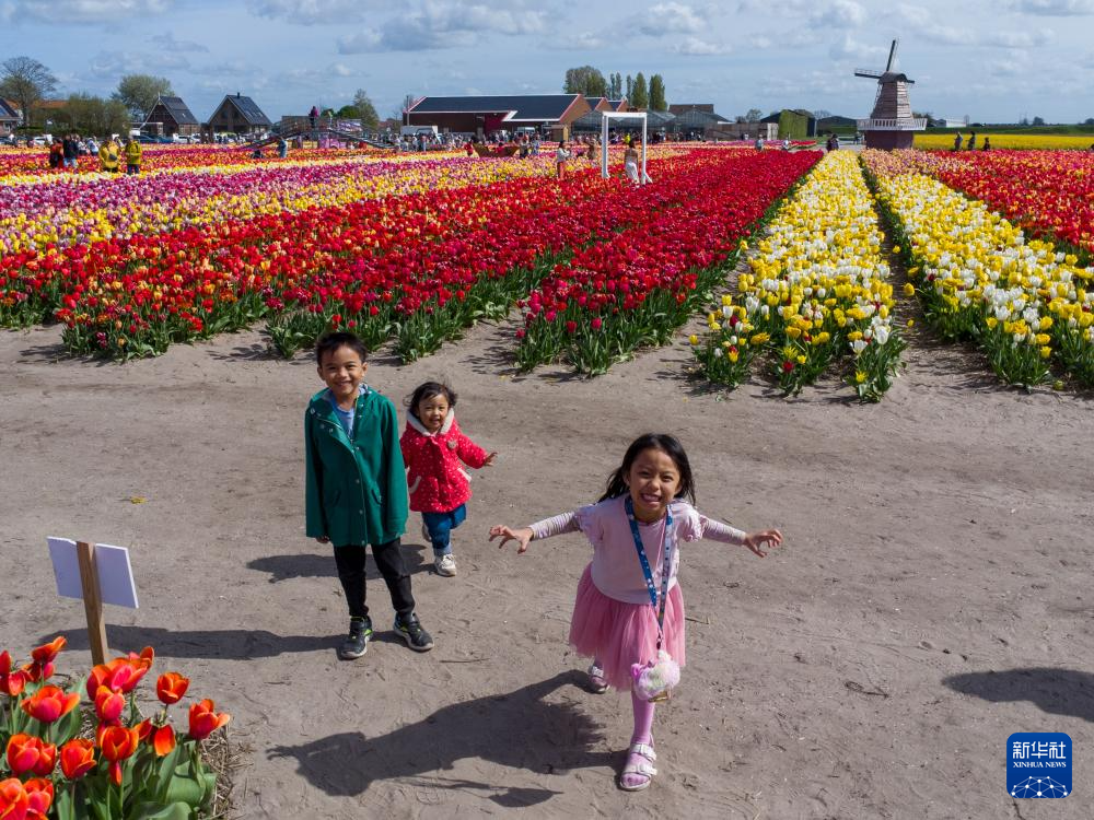 414Сںmɪ㻨(ni)棨o˙C(j)ƬAӛ ϶ z