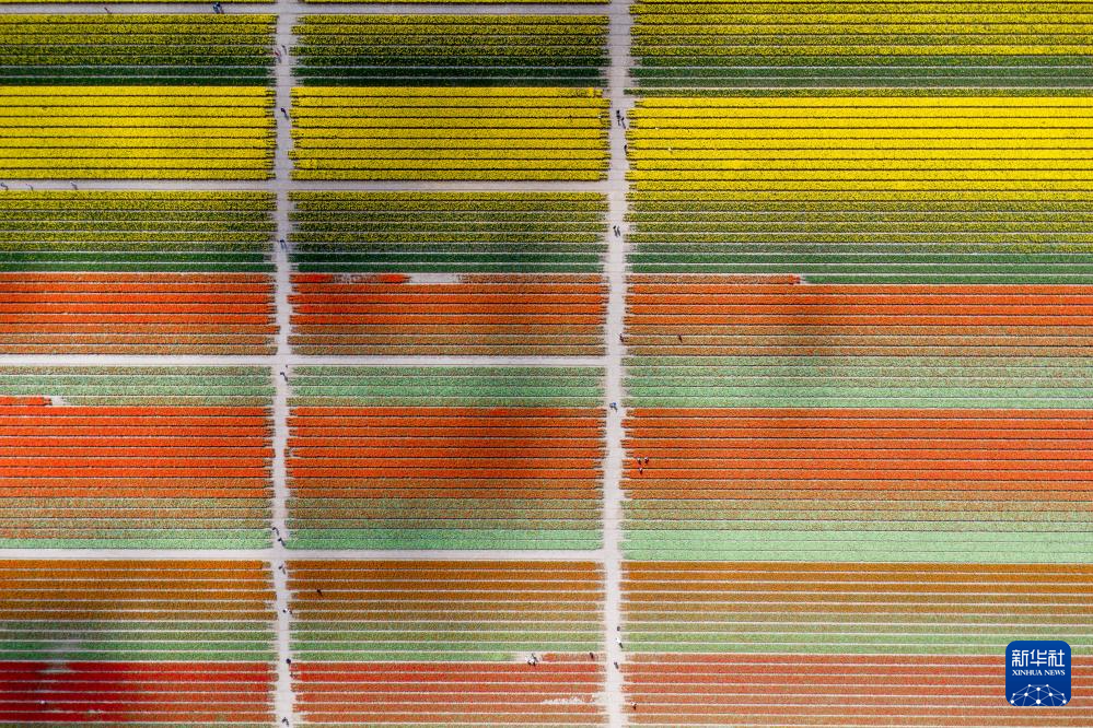 @414ںmɪĔz㻨o˙C(j)ƬAӛ ϶ z