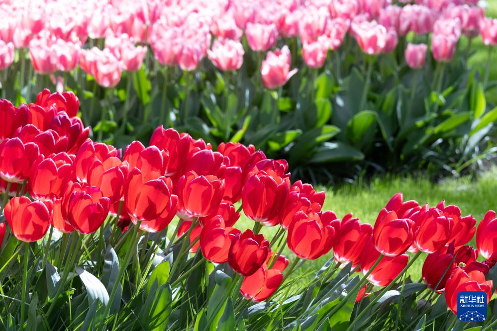 @414ںmɪϻ򹫈@ĔzAӛ ϶ z