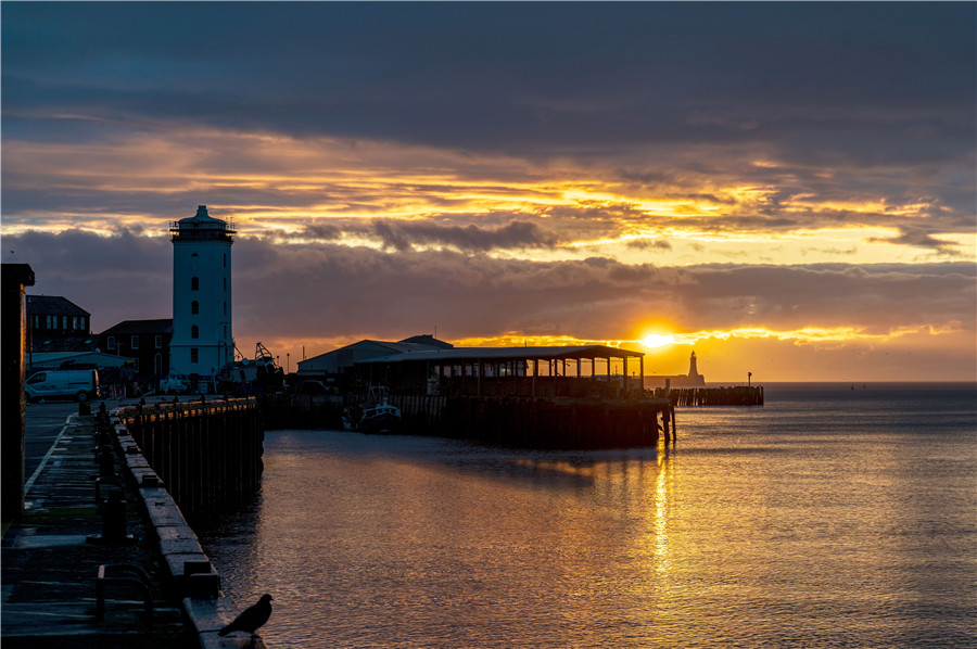 IC Photo(qun)ƷՈ(qng)D(zhun)d