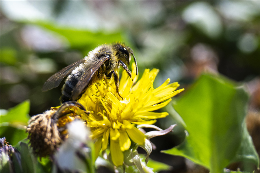 IC Photo(qun)ƷՈD(zhun)d