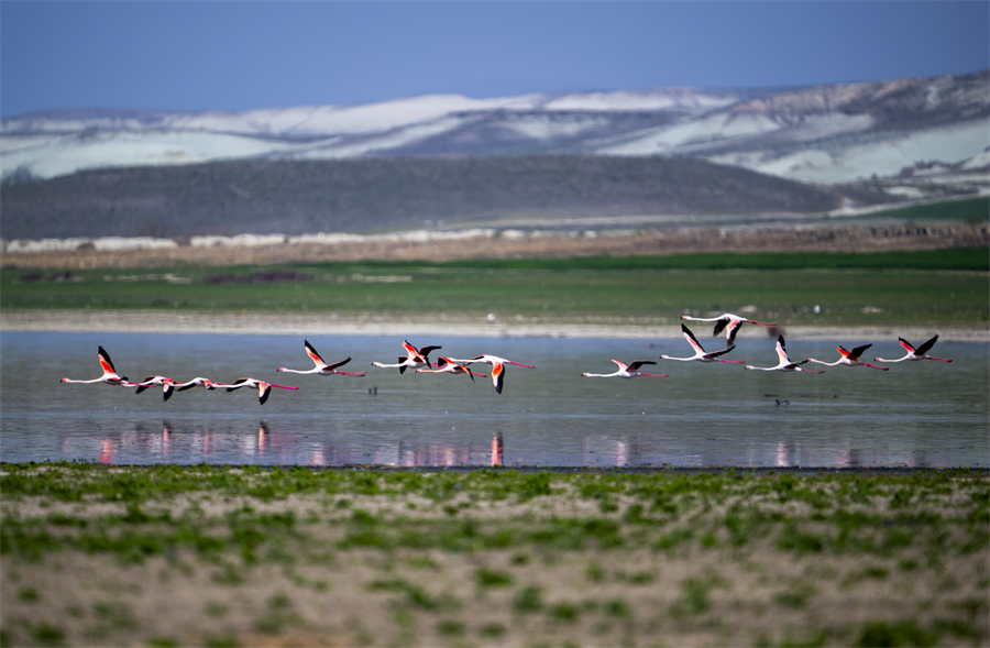 IC Photo(qun)ƷՈ(qng)D(zhun)d 