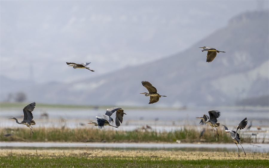 IC Photo(qun)ƷՈD(zhun)d 