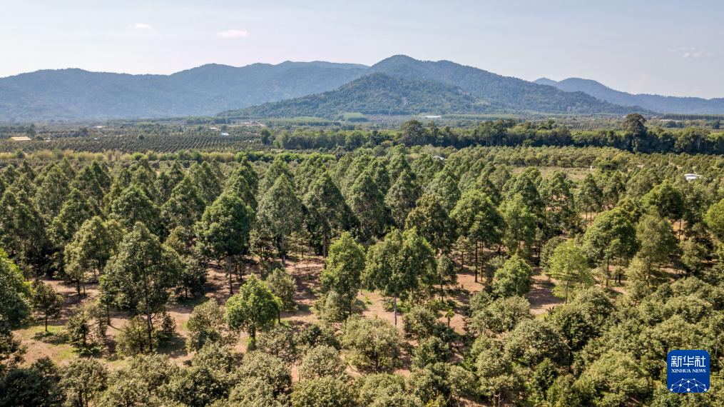 @426̩븮Ĕzɏ@o˙C(j)ƬAӛ v z