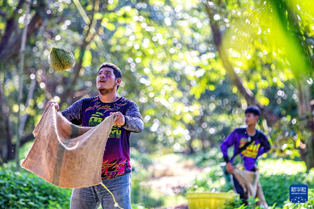 426̩븮ɏ@ժɏAӛ v z