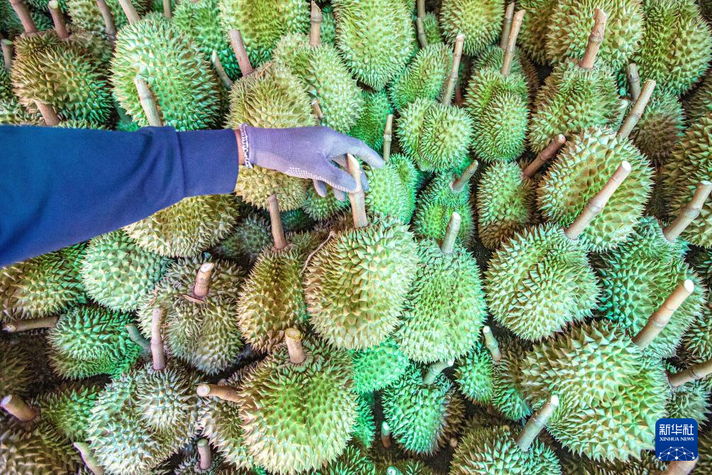 426̩븮ɏ@aɏAӛ v z