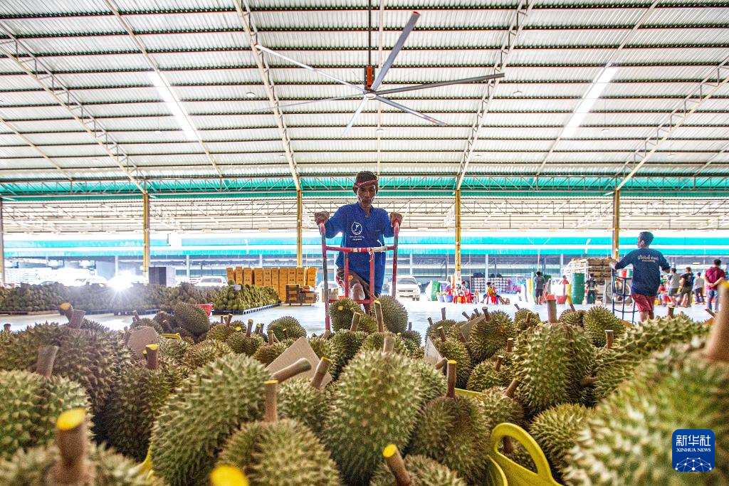 426̩(gu)븮ɏӹS\(yn)ݔɏAӛ v z