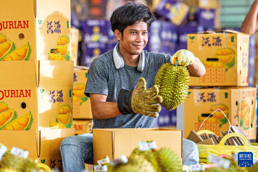 426̩븮ɏӹSaɏAӛ v z