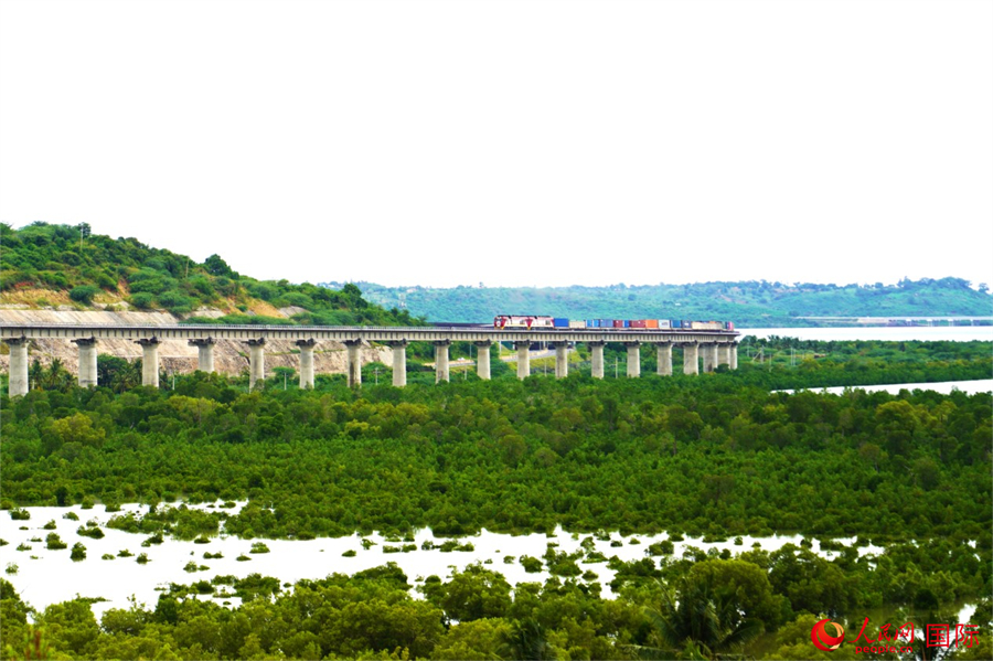 ၆ɰ_tһ؛\(yn)܇Ƀ(ni)F·W(wng)ӛ SΔz