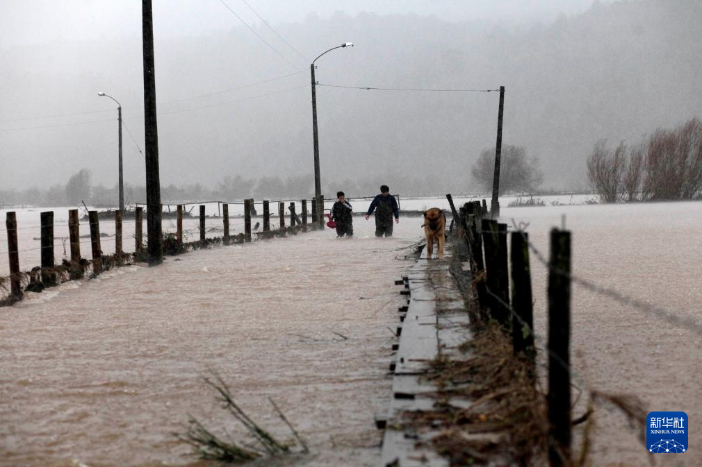 613ȊWȊW^(q)(dng)?sh)ؾڛQ̵ƤߡAl(f)