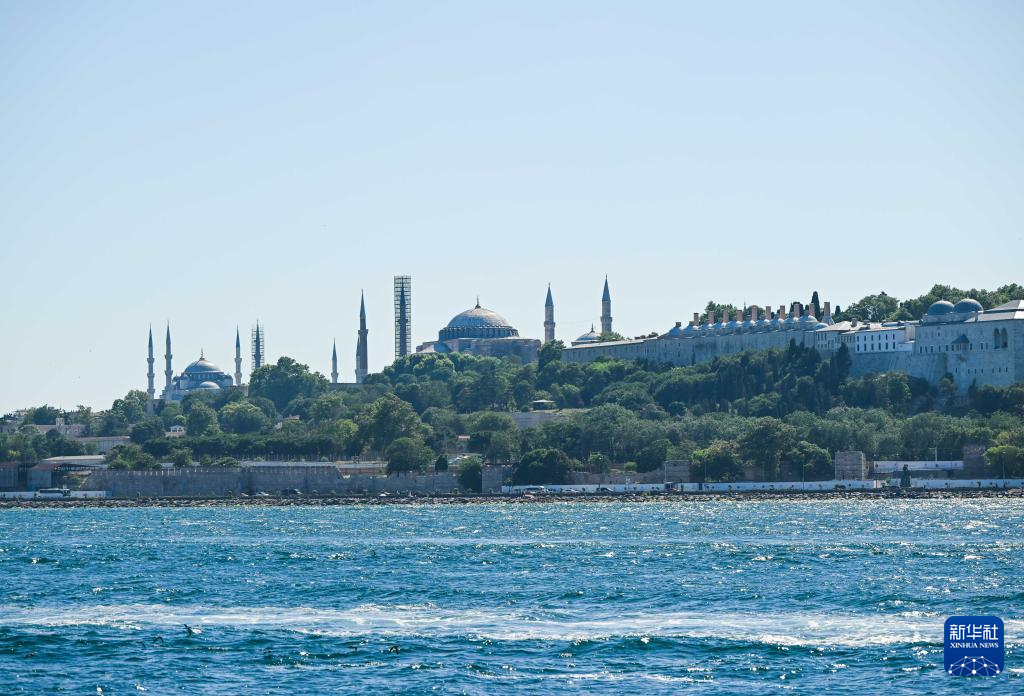 @619˹̹ĔzĲ˹˹{L(fng)Aӛ  z