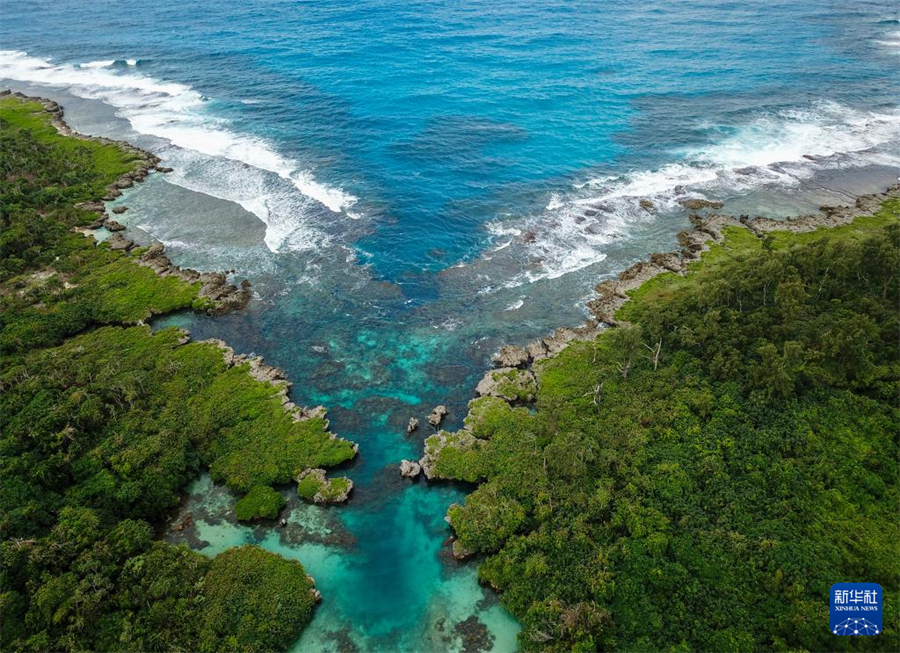 @628ĔzŬDL(fng)⣨o˙C(j)ƬAӛ  z