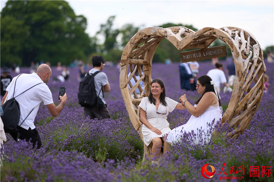 񱊴޹²f@W(wng) (sh)(x)iz