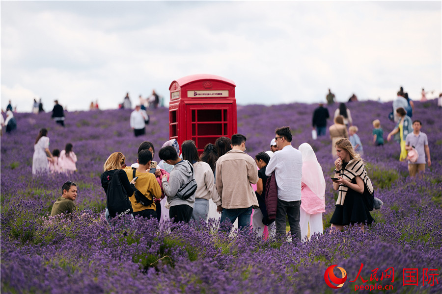 񱊴޹²f@W(wng) iz