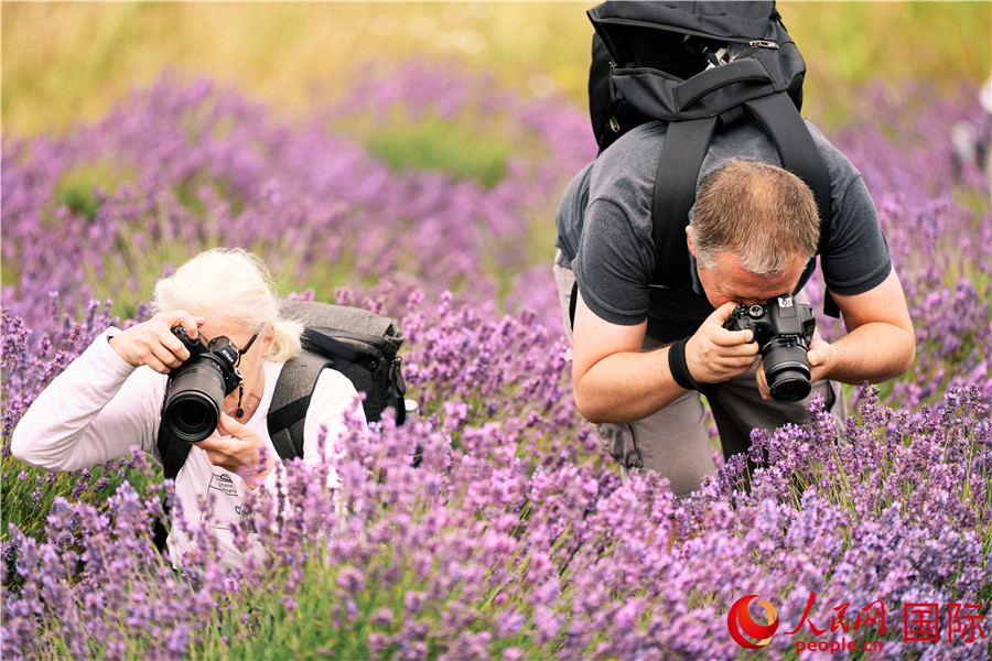 񱊴޹²f@W(wng) (sh)(x)iz