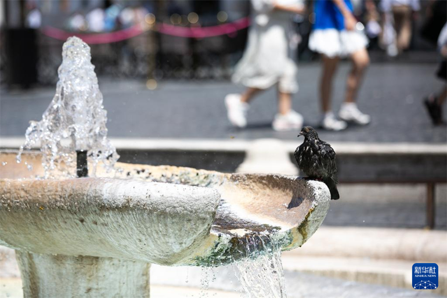 714һֻ_RƴȪ_Aӛ  z