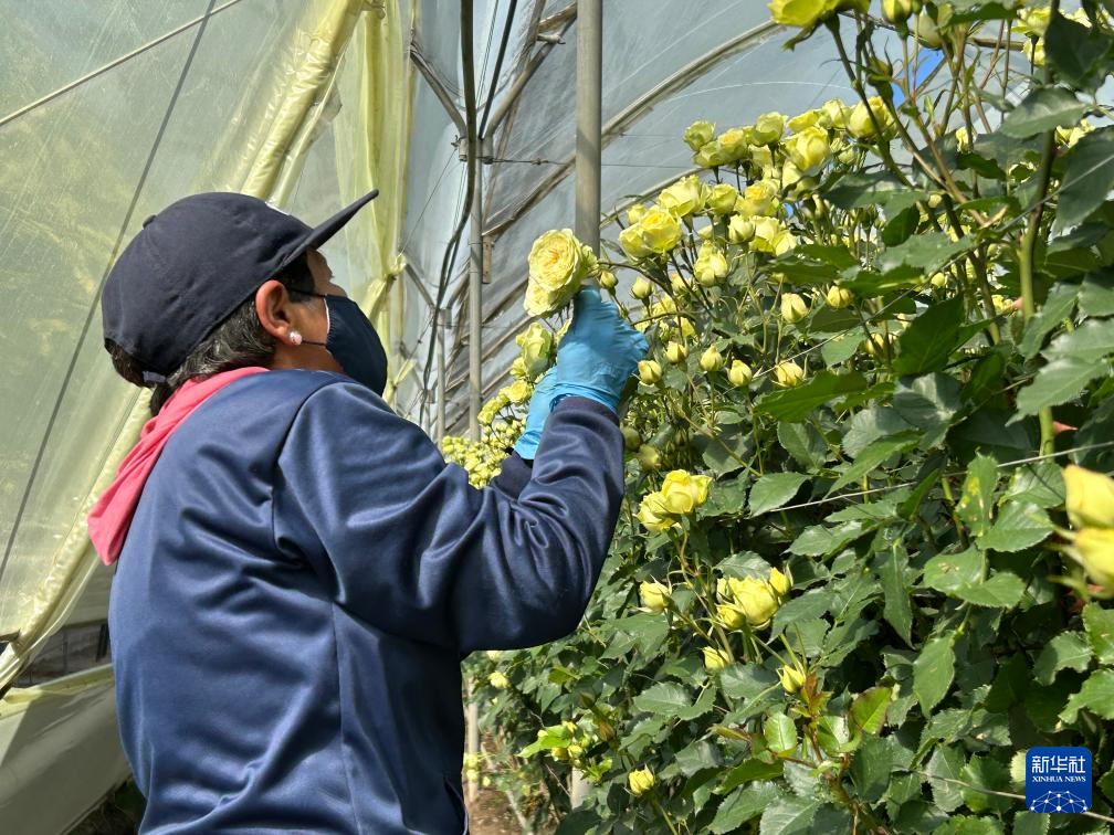 87ڶ϶ࠖPؐаׁ{˾˲ժõAӛ ˼S z