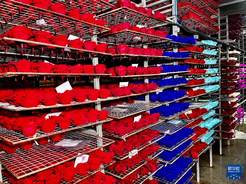 87ڶ϶ࠖP(yng)ؐаׁ{˾(jng)^Ⱦɫ̎õں܇goúɡAӛ ˼S z