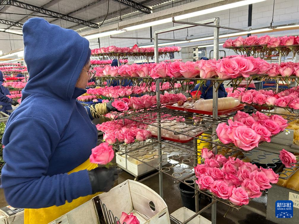 87գڶ϶ࠖP(yng)ؐаׁ{˾ˌ(du)ժõM(jn)зAӛ ˼S z