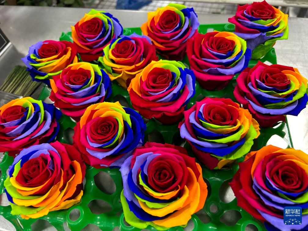 @87ڶ϶ࠖPؐаׁ{˾Ĕzġʺõ塱Aӛ ˼S z