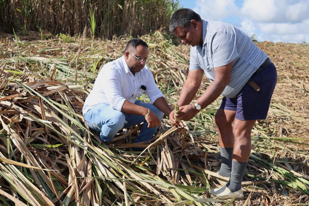 724ë˹|˅^(q)˹˼cHԼҵĸAӛܰz