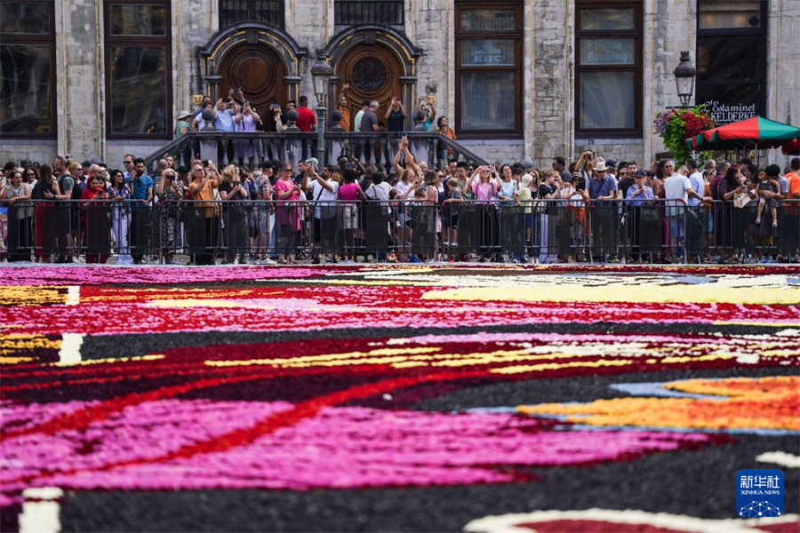 @815ڱrVĔzġr̺Aӛ  z