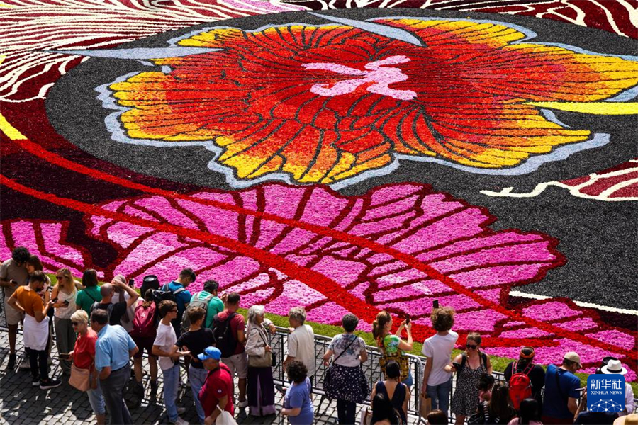 @815ڱrVĔzġr̺Aӛ  z