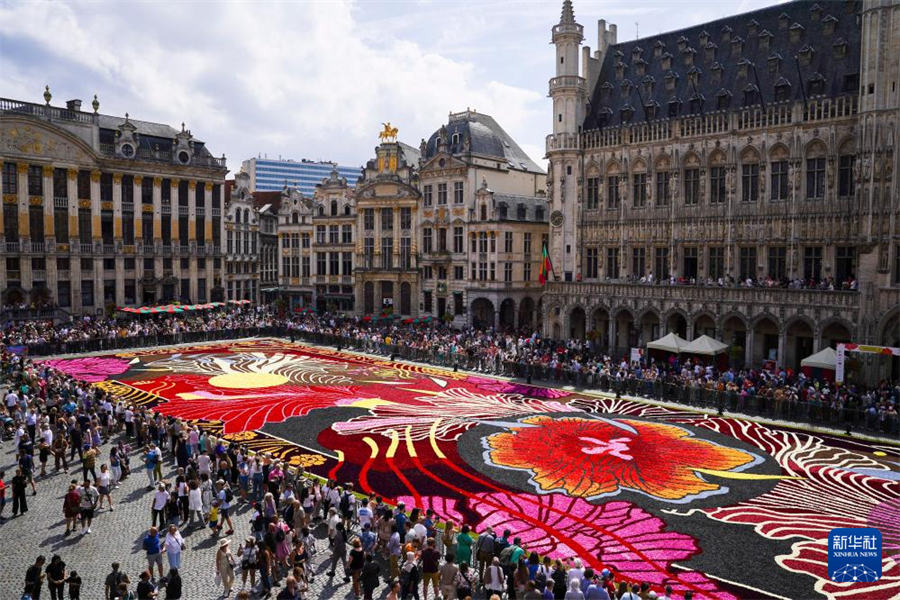 @815ڱrVĔzġr̺Aӛ  z