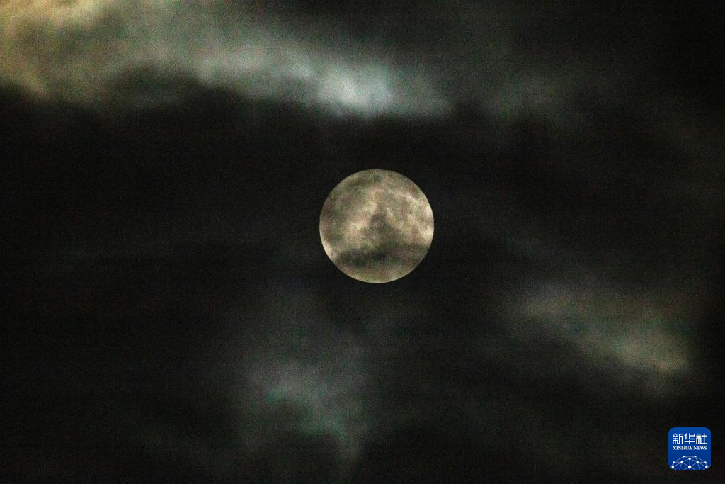 @819·˹˹ĔzĿеĈAAl(f)Ρ˹иz