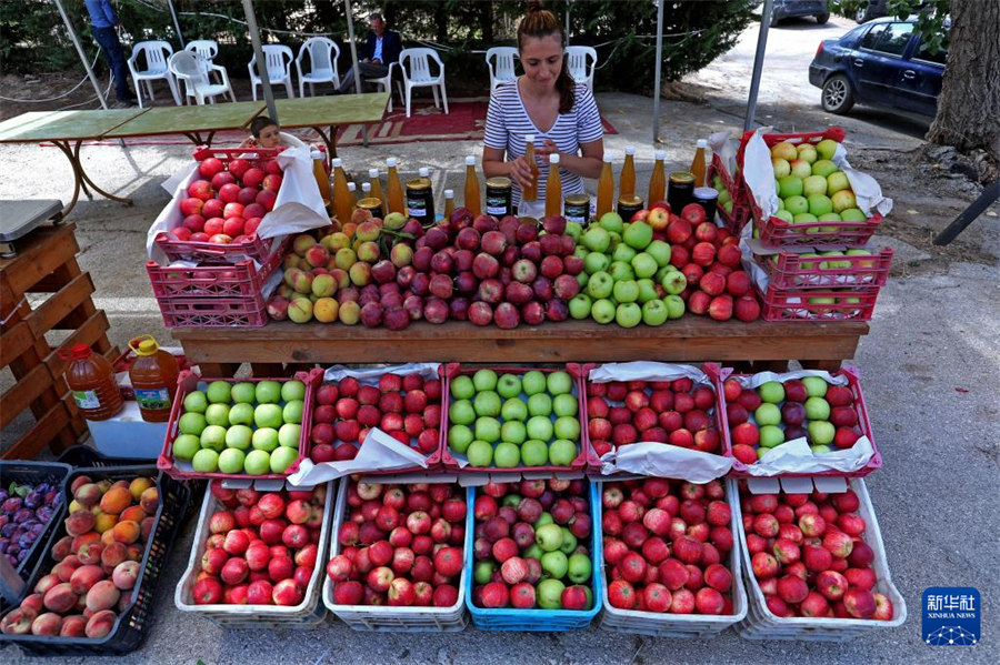 831ɽʡһO(ji)uOAl(f)ZSϣ z