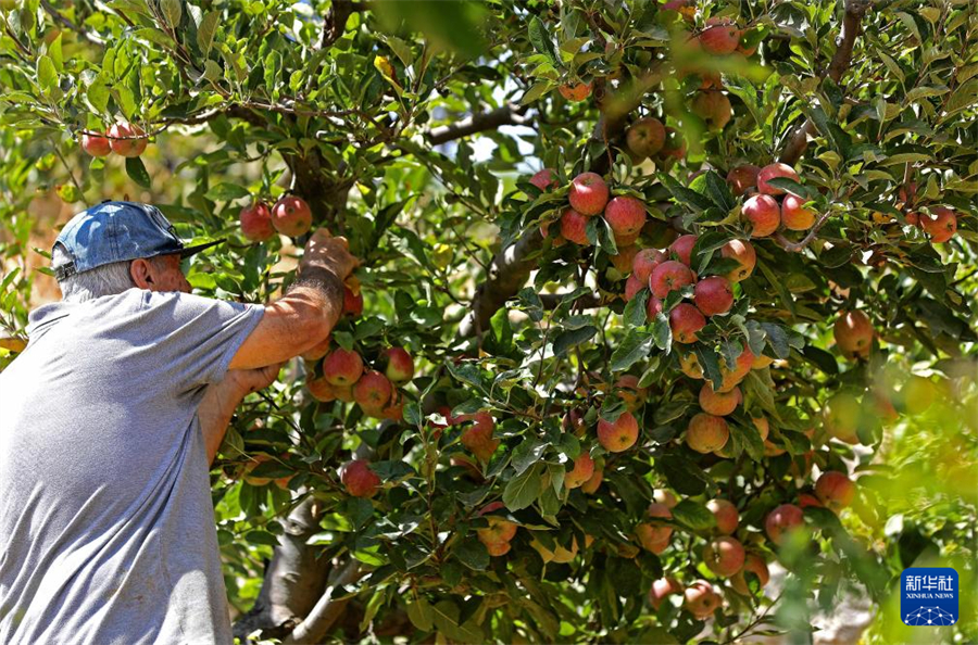 831ɽʡһr(nng)ڲժOAl(f)ZSϣ z