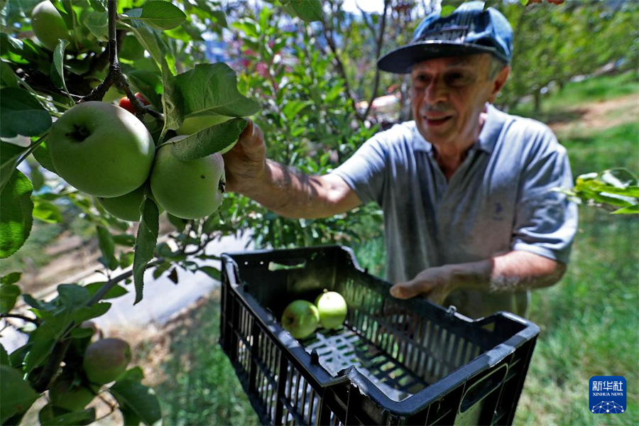 831ɽʡһr(nng)ڲժO(png)Al(f)ZSϣ z