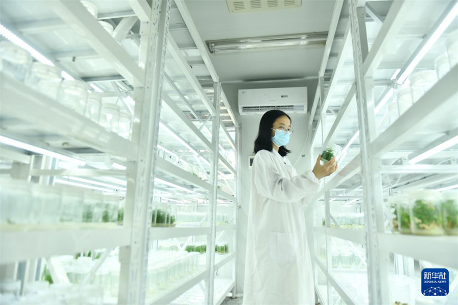 ڏVɲˎ؟(z)ι˾g(sh)ˆT磨827ՔzAӛ SТ z