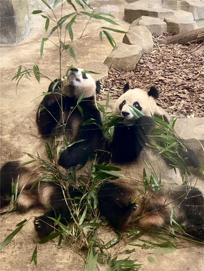 ؈͝hڳýF(zh)п݋ l(wi)˔z