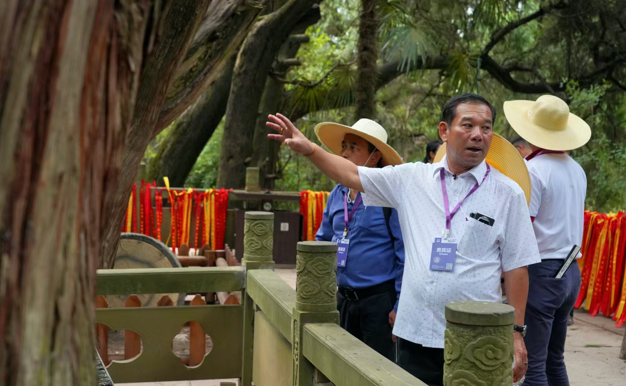 D鿼FɆTLՈ桷ӛ߆z