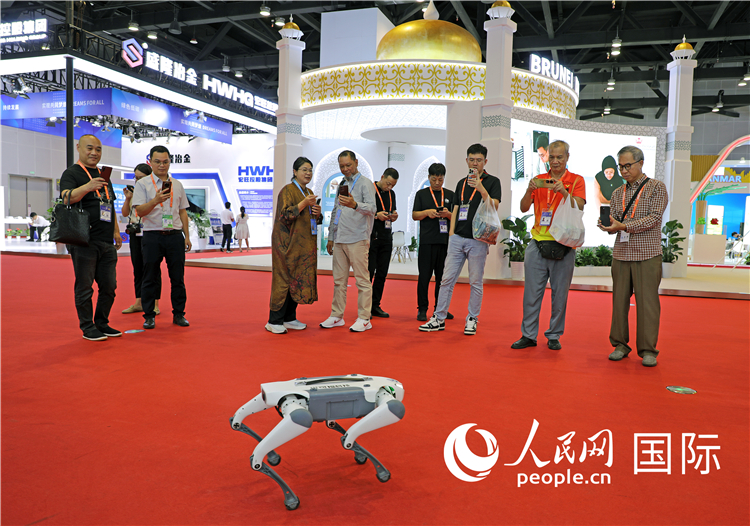 東博會(huì)上，觀眾正在參觀一只機(jī)器狗。綠色能源、新能源汽車、綠色農(nóng)產(chǎn)品等成為本屆東博會(huì)觀眾關(guān)注的焦點(diǎn)。人民網(wǎng)記者 趙益普攝