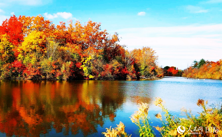 楓景映湖，秋色如油畫(huà)。于世文 攝      