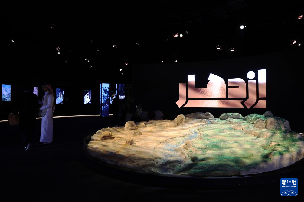 12月3日，在沙特阿拉伯利雅得，人們參觀聯(lián)合國防治荒漠化公約大會沙特阿拉伯館。新華社記者 王東震 攝