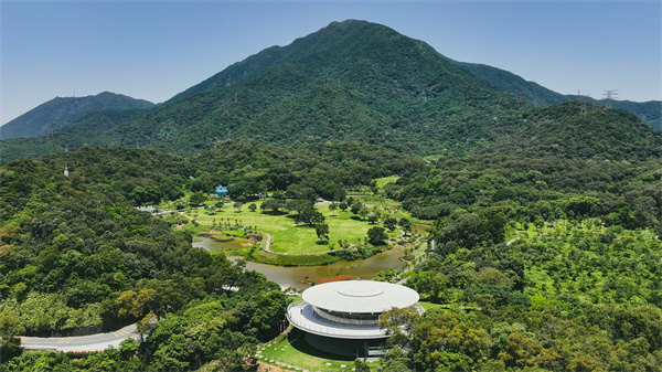 梧桐山森林會客廳。鹽田網(wǎng)供圖