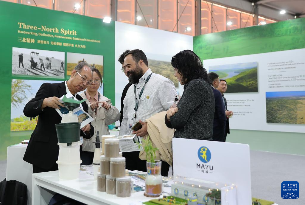 12月4日，參會者在沙特阿拉伯利雅得的聯(lián)合國防治荒漠化公約大會中國館參觀。新華社記者 王東震 攝