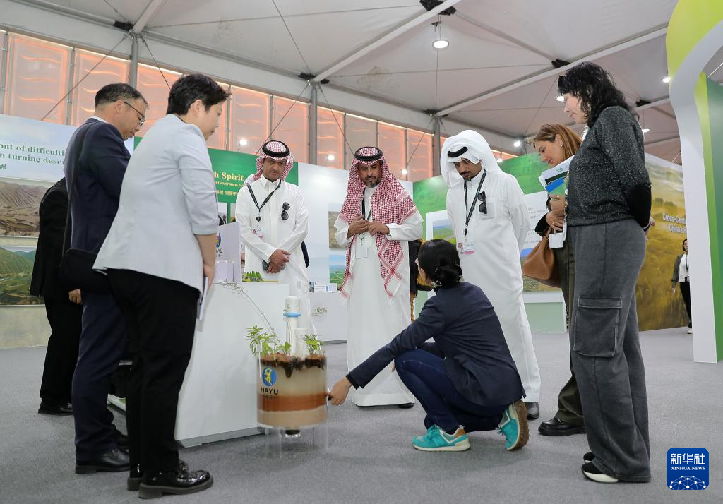 12月4日，參會者在沙特阿拉伯利雅得的聯(lián)合國防治荒漠化公約大會中國館參觀。新華社記者 王東震 攝