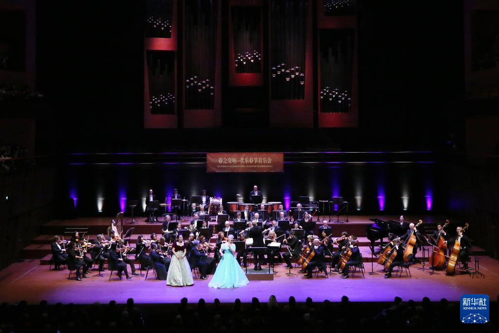 1月13日，音樂家們在盧森堡“春之交響——?dú)g樂春節(jié)音樂會(huì)”上表演。新華社記者 趙丁喆 攝