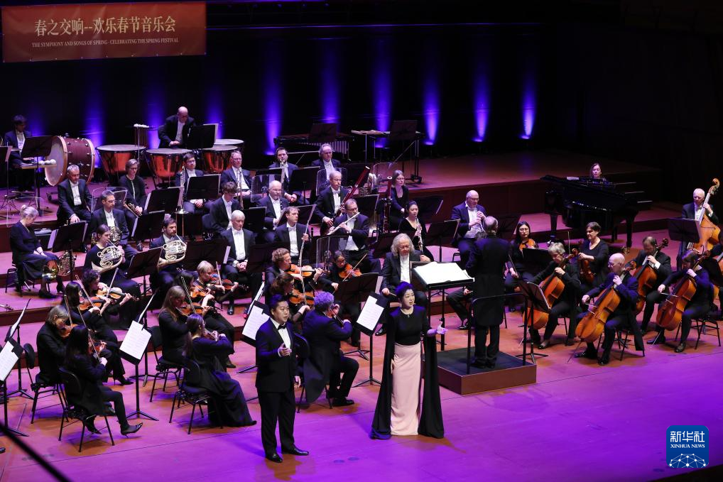 1月13日，音樂家們在盧森堡“春之交響——?dú)g樂春節(jié)音樂會”上表演。新華社記者 趙丁喆 攝