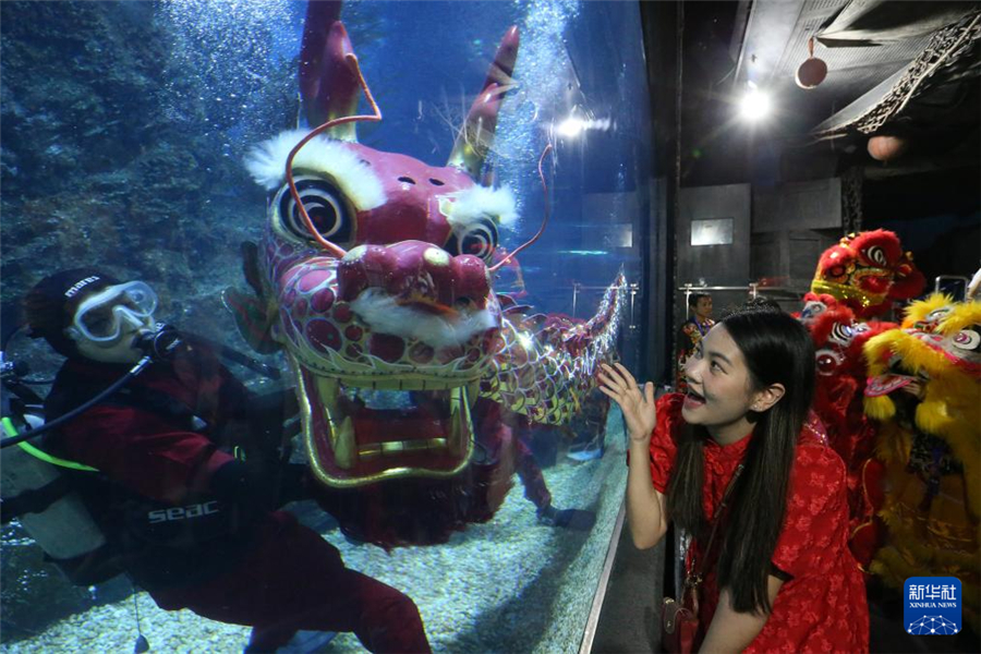 1月16日，在泰國(guó)曼谷暹羅海洋世界，潛水員在水下表演舞龍。新華社發(fā)（拉亨攝）