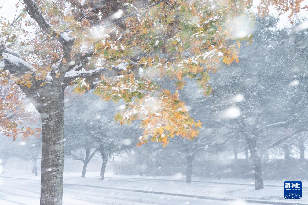 這是1月21日拍攝的冬季風(fēng)暴中的美國(guó)休斯敦街道。新華社發(fā)（陳晨攝）