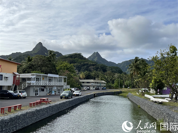 庫克建筑。人民網(wǎng)記者 陳效衛(wèi)攝